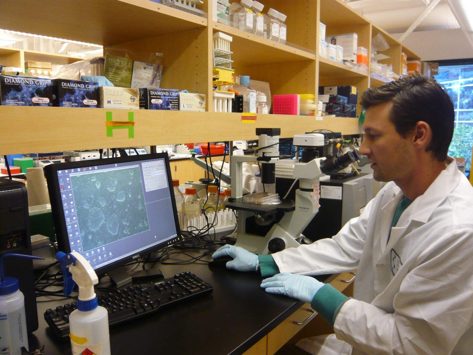 Ein Stammzellforscher am Scripps Institute in San Diego